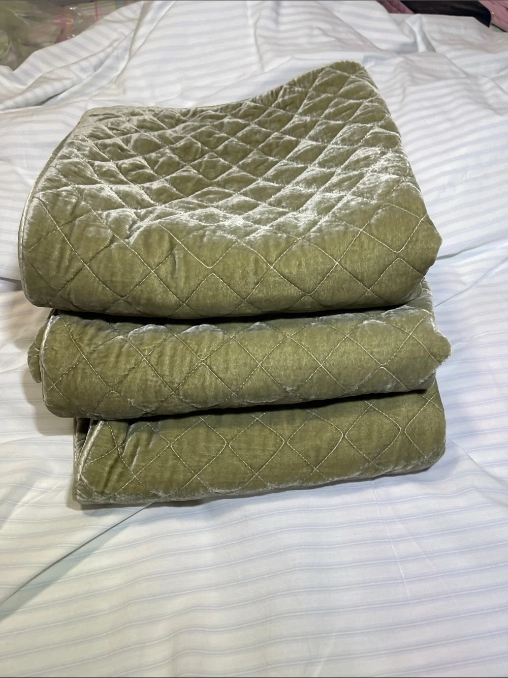 NWOT BELLA NOTTE silk and quilted velvet EURO SHAMS SAND